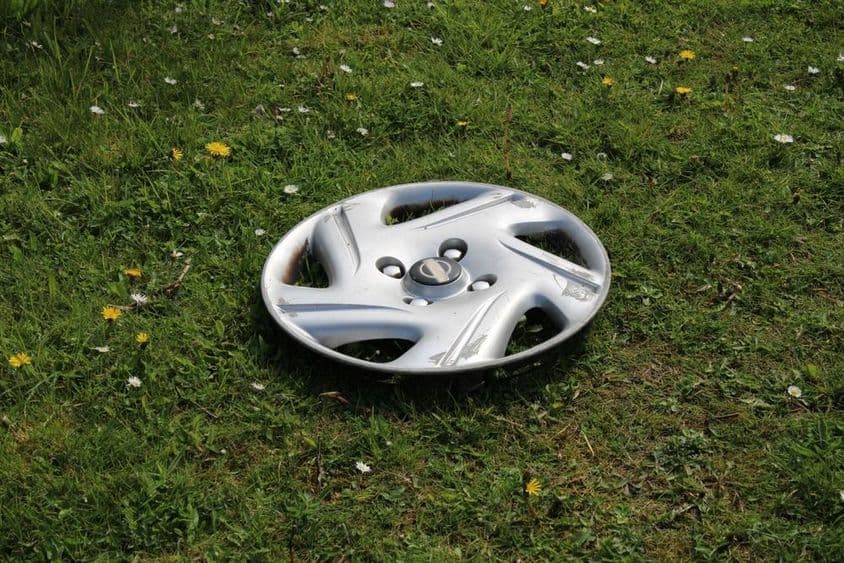 Disztárcsa füves út szélén.